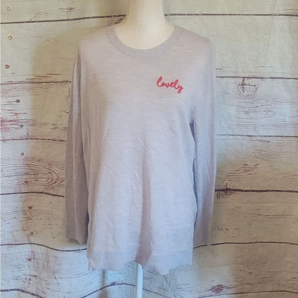 Banana Republic‎ Extra Fine Merino Wool Embroidered Sweater Size Large NWT